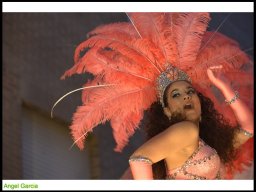 Carnaval de Mula 2014